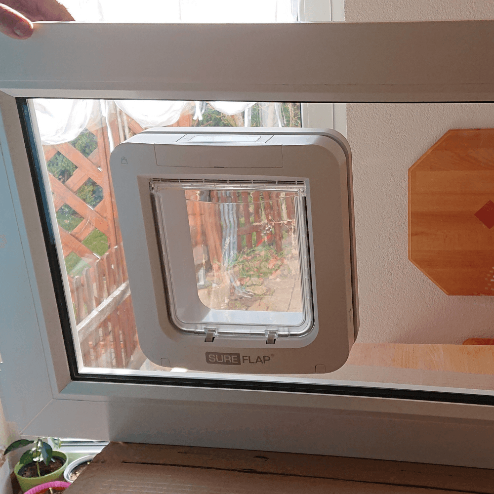 Einlagefenster aus Acrylglas für die Katzenklappe