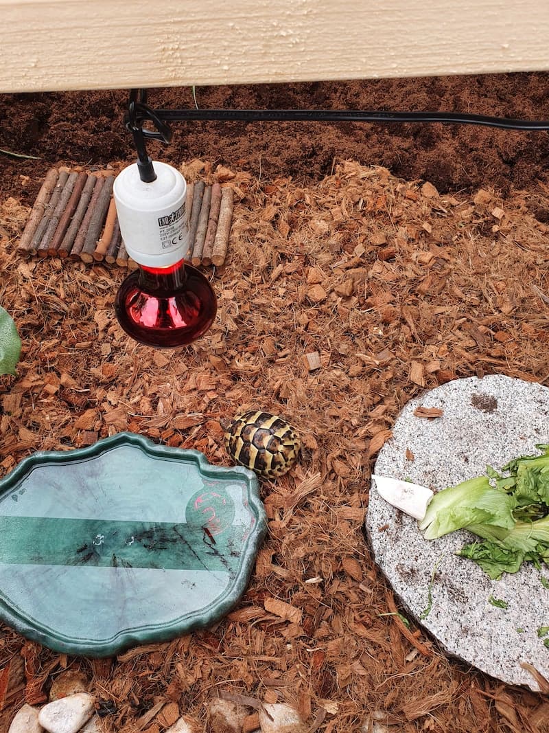 Außengehege Schildkröten Plexiglas