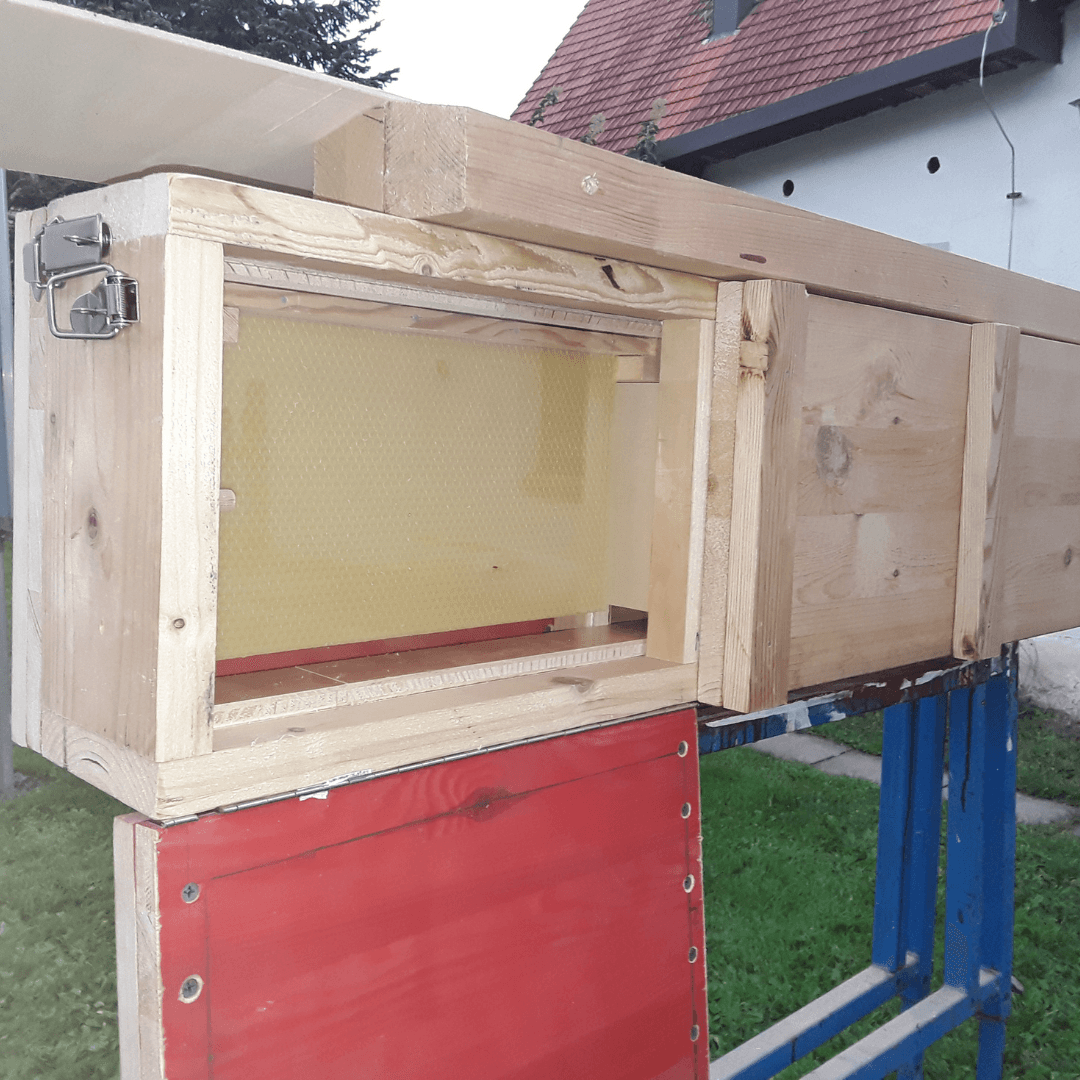 Bienenschaukasten mit Fenstern aus Acrylglas 18