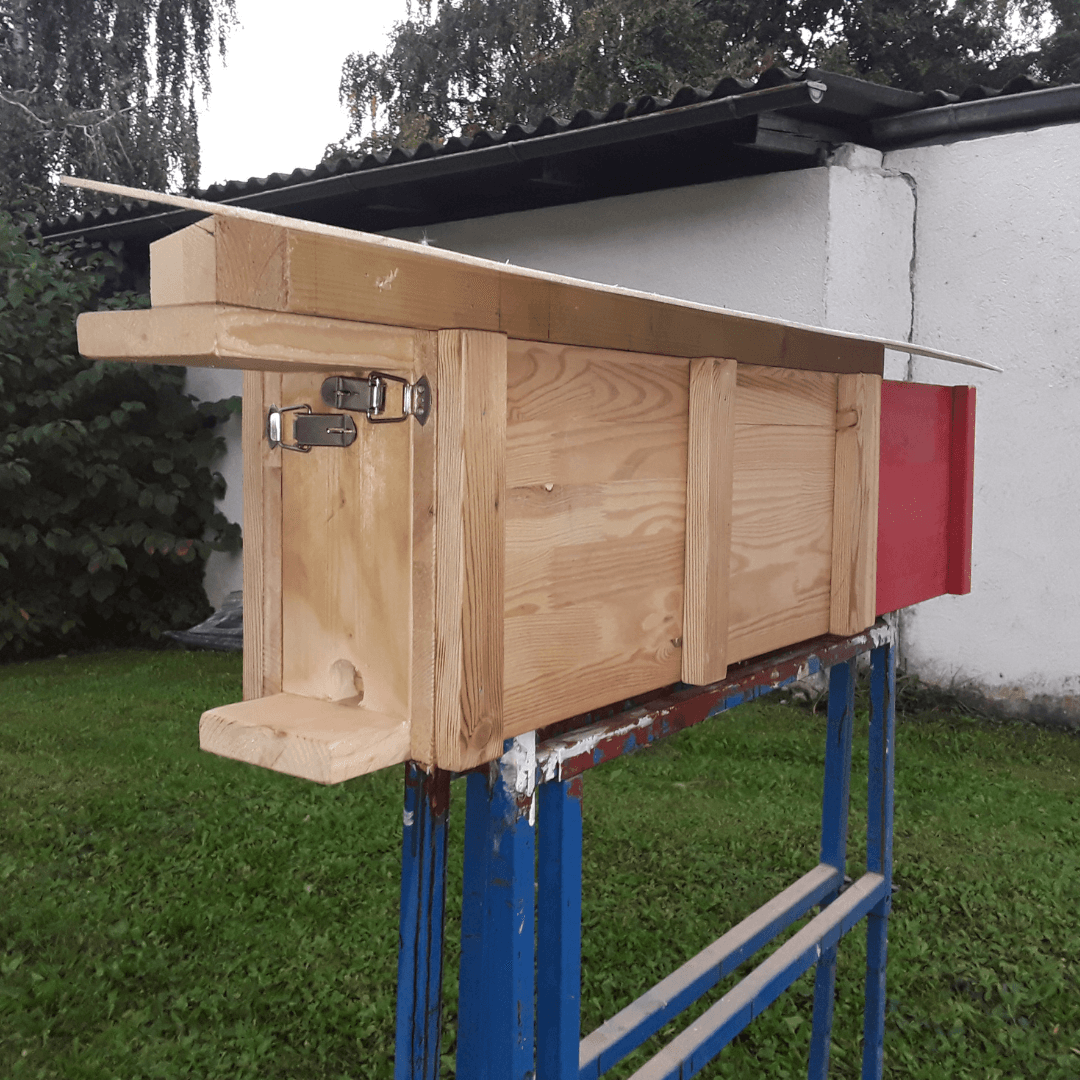 Bienenschaukasten mit Fenstern aus Acrylglas 18