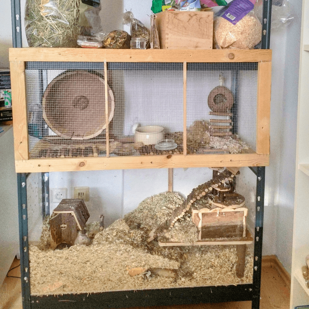Gerbilarium