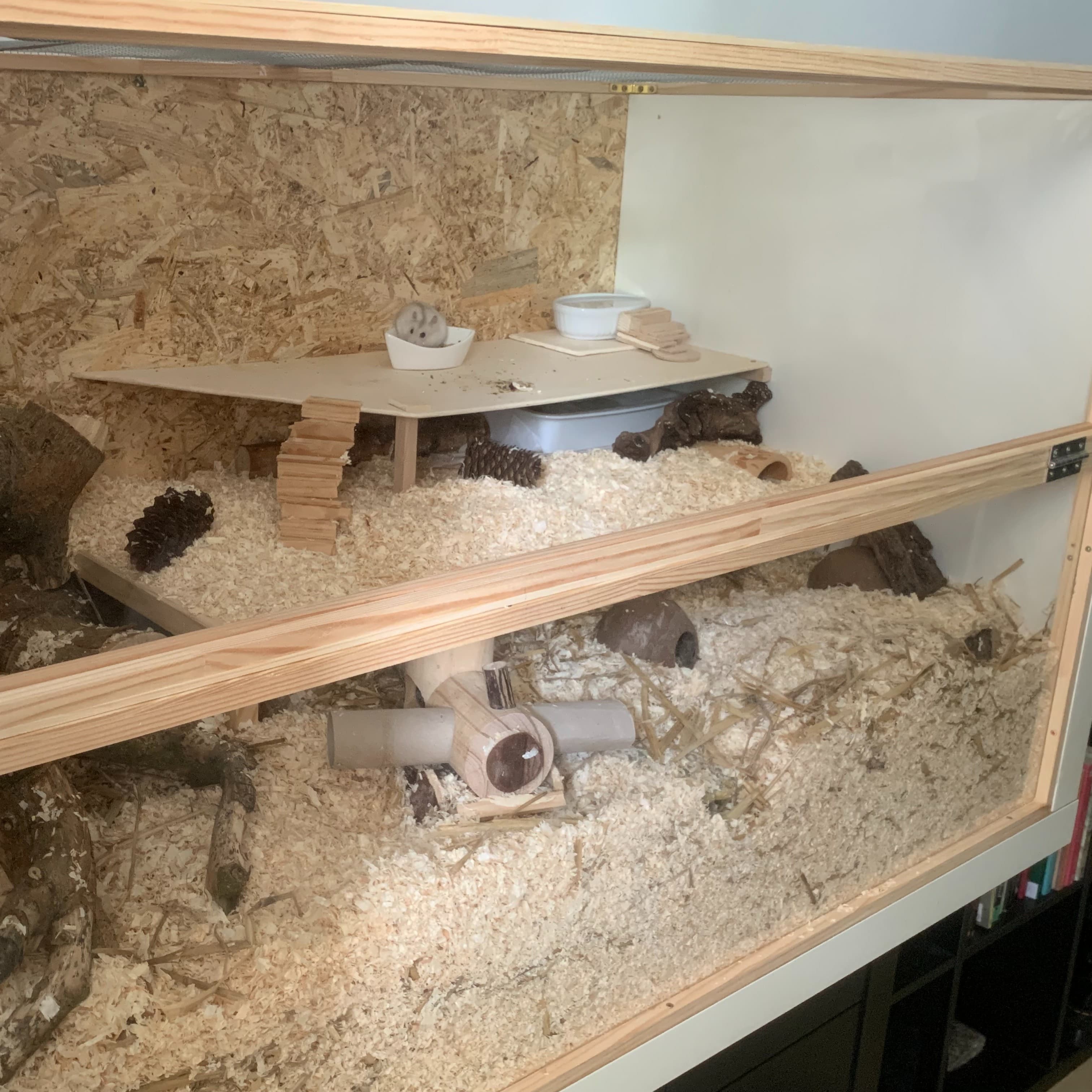 Hamsterkäfig mit PLEXIGLAS®04