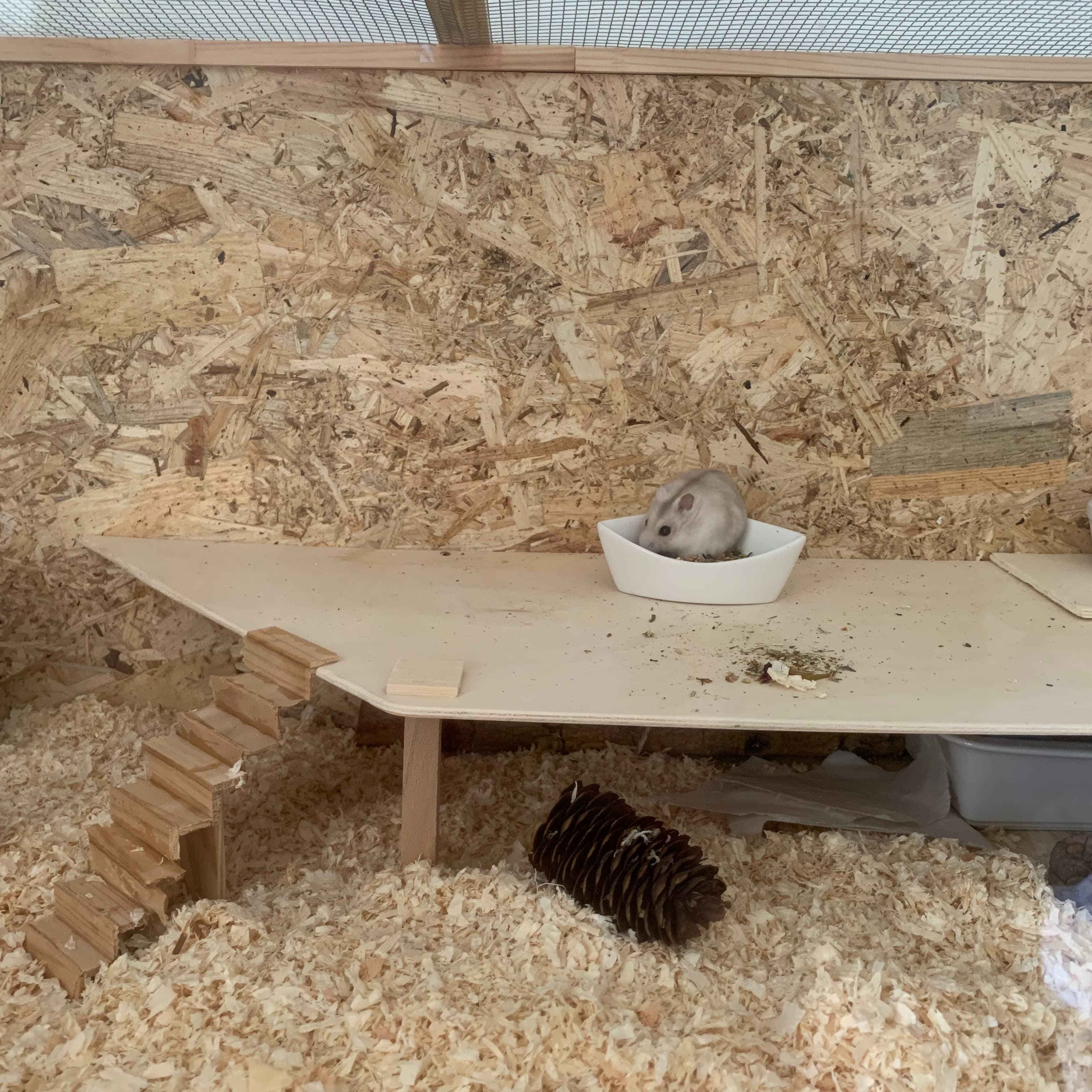 Hamsterkäfig mit PLEXIGLAS®05