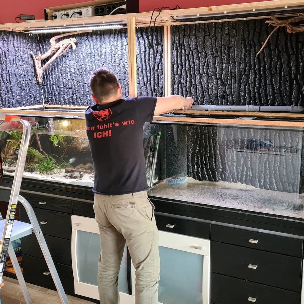 Besonderes Wasser- und Landaquarium