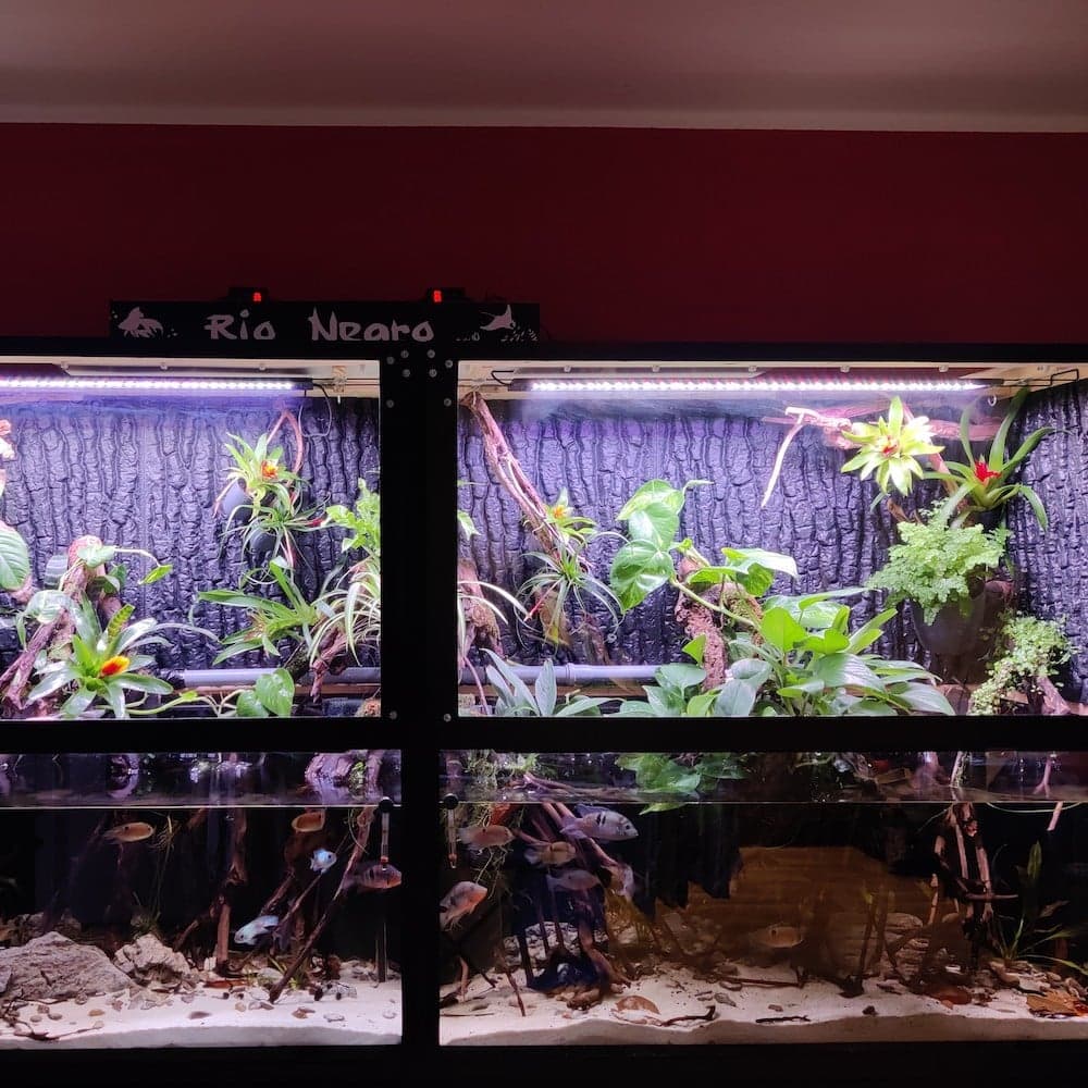 Besonderes Wasser- und Landaquarium