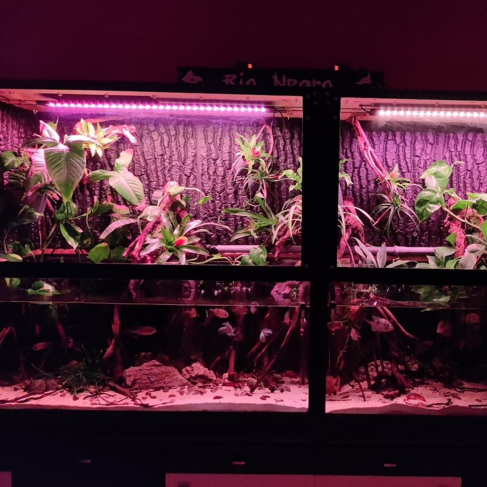 Besonderes Wasser- und Landaquarium