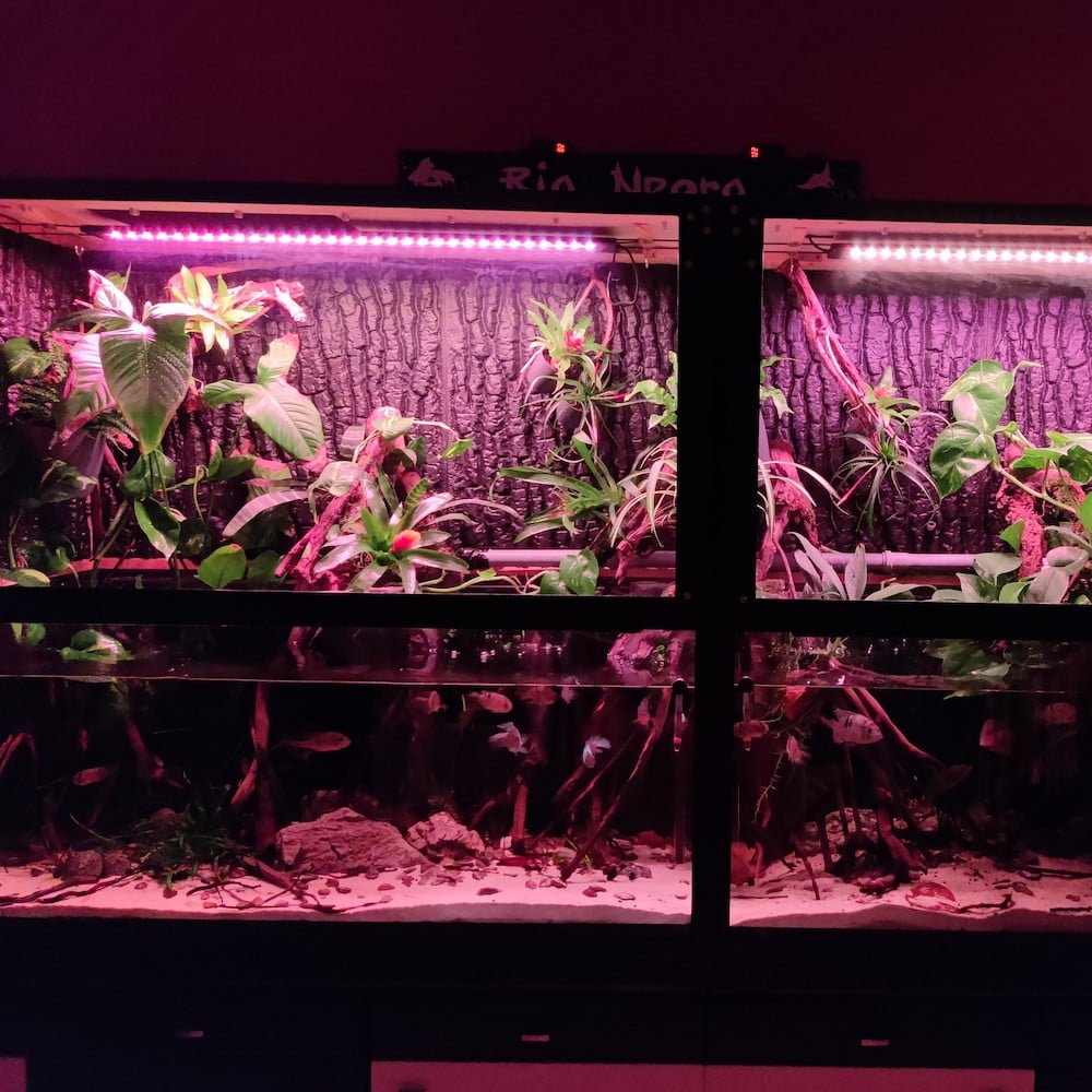 Besonderes Wasser- und Landaquarium