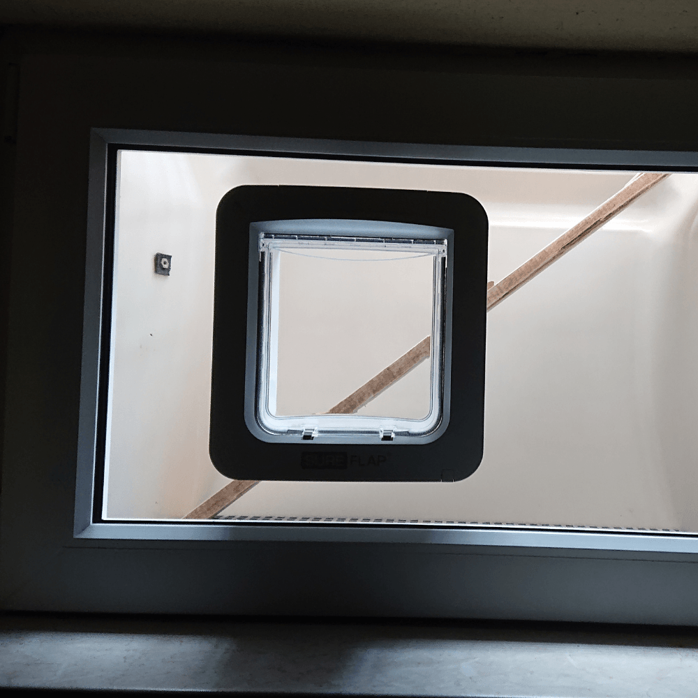 Einlagefenster aus Acrylglas für die Katzenklappe