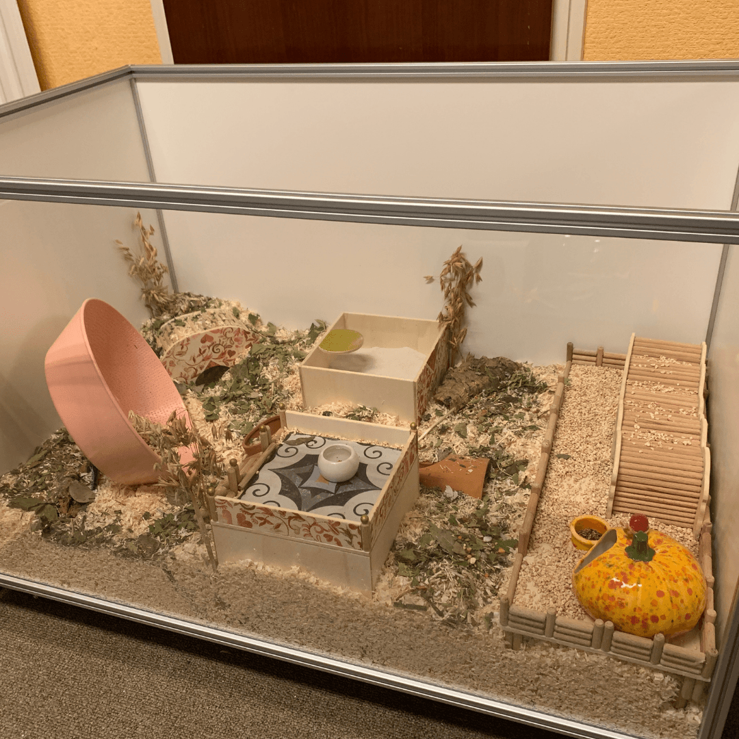 Hamstergehege aus HPL-Platten selber bauen