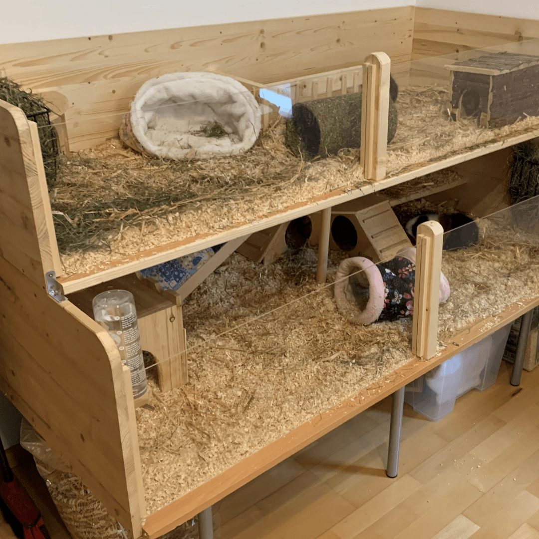 Meerschweinchenstall
