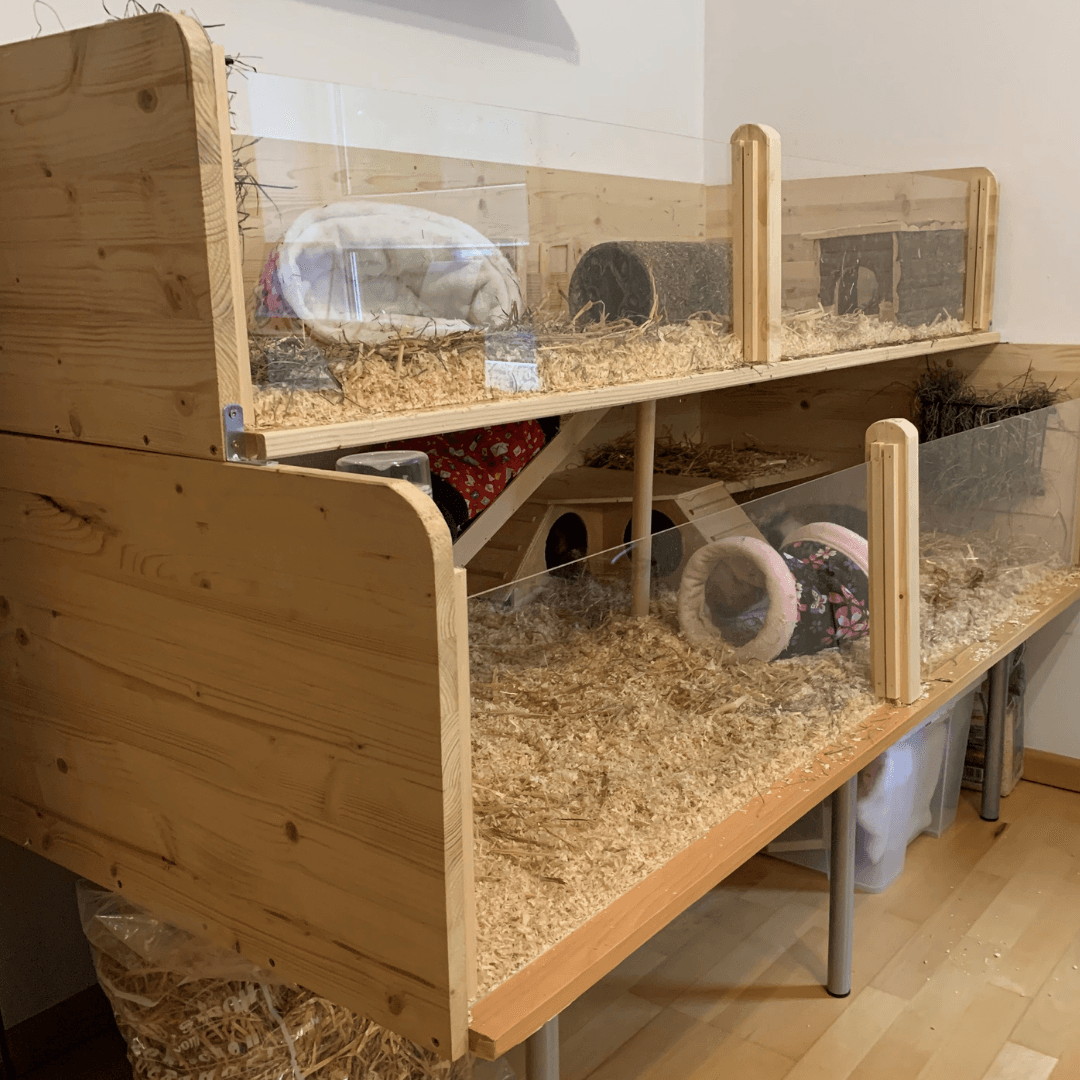 Meerschweinchenstall