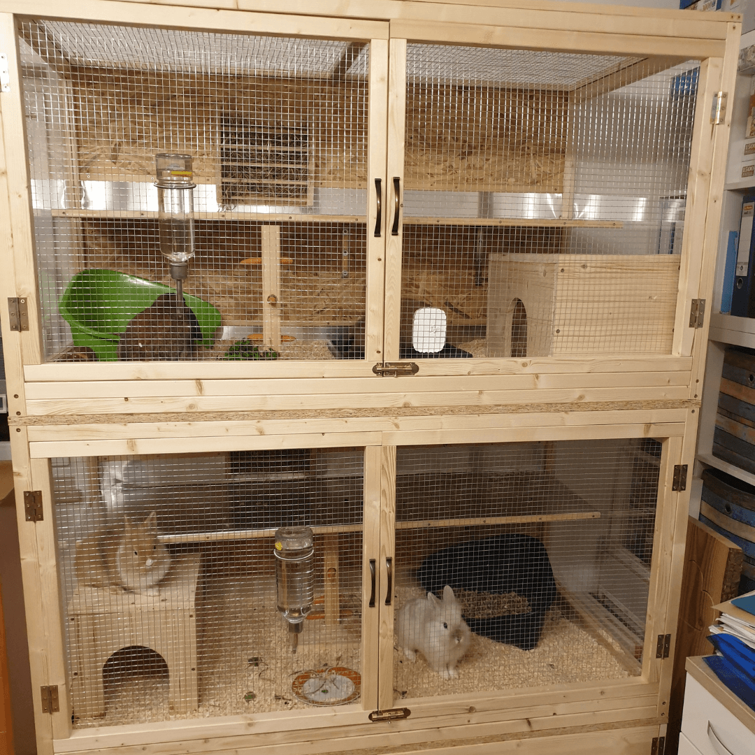 Selbstgebauter Hasenstall
