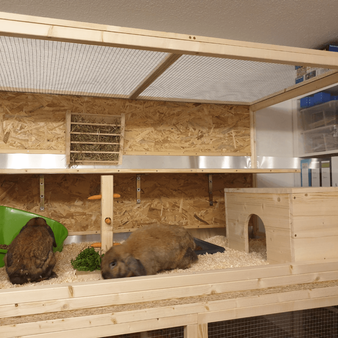 Selbstgebauter Hasenstall