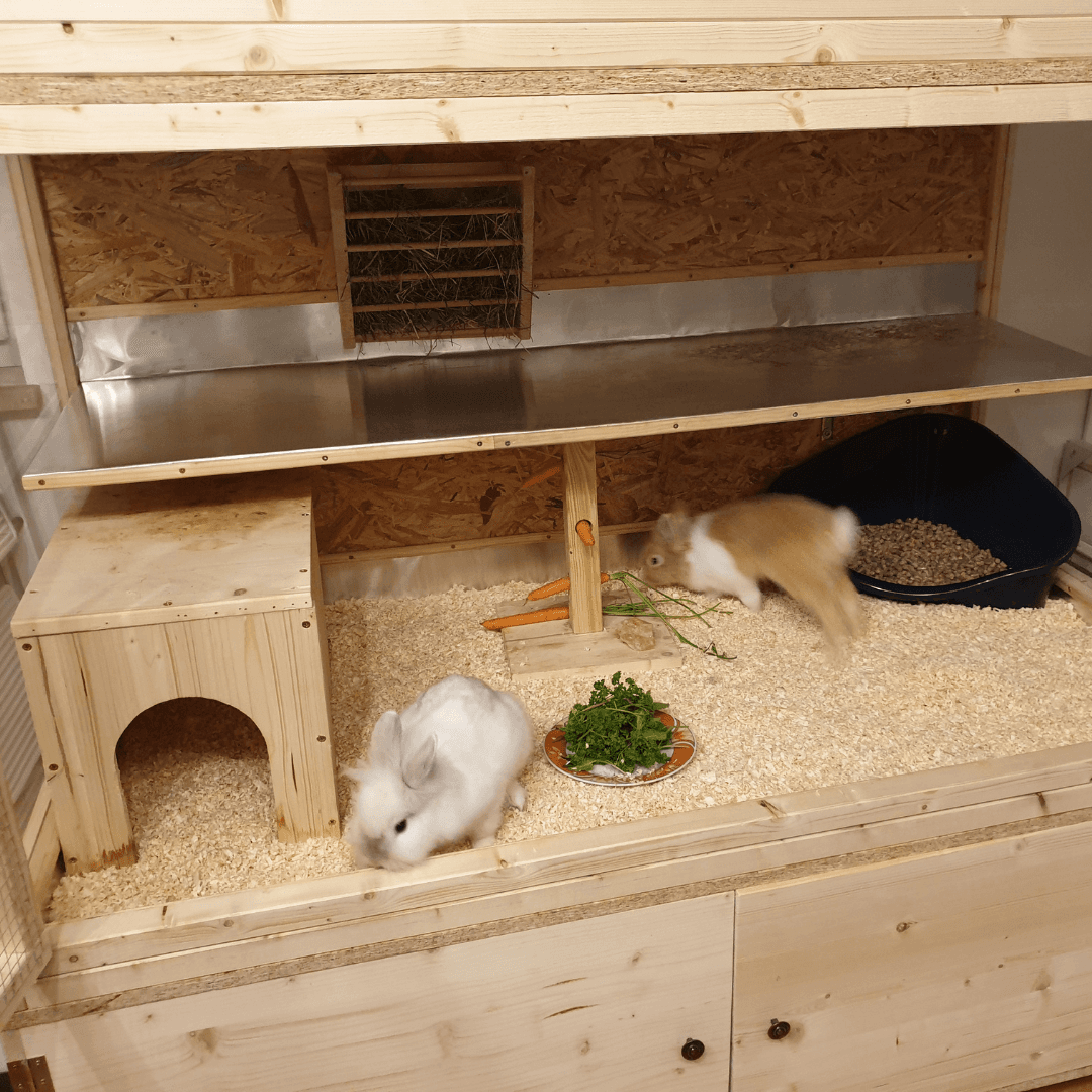 Selbstgebauter Hasenstall