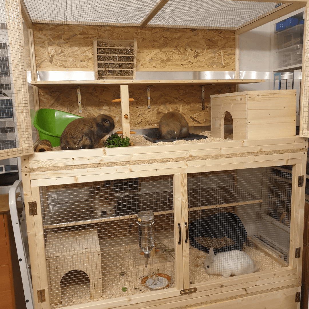 Selbstgebauter Hasenstall