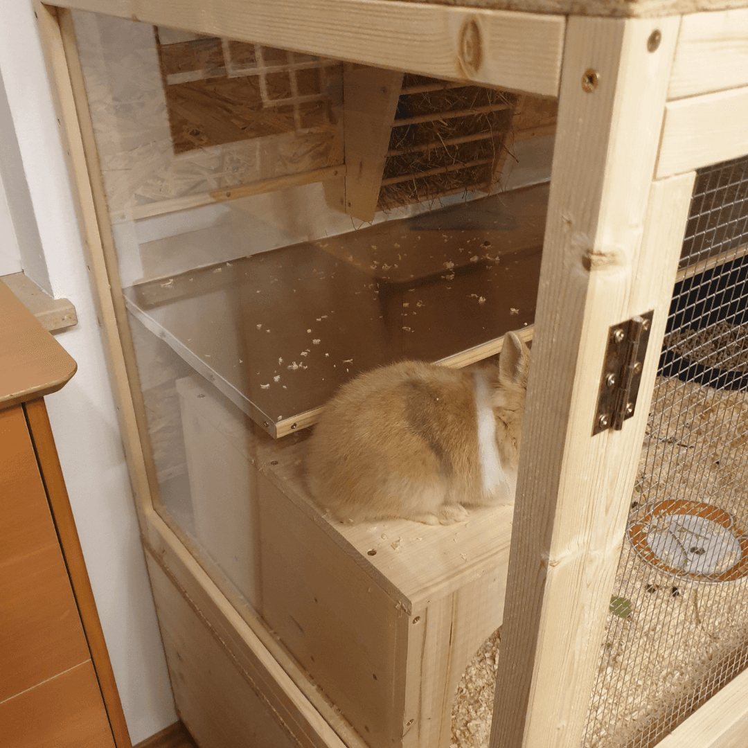 Selbstgebauter Hasenstall
