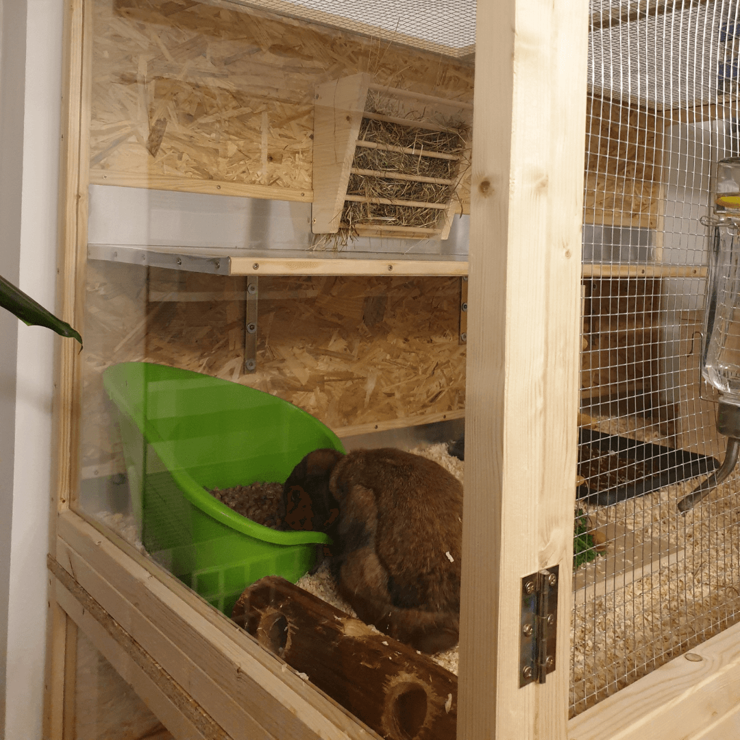 Selbstgebauter Hasenstall