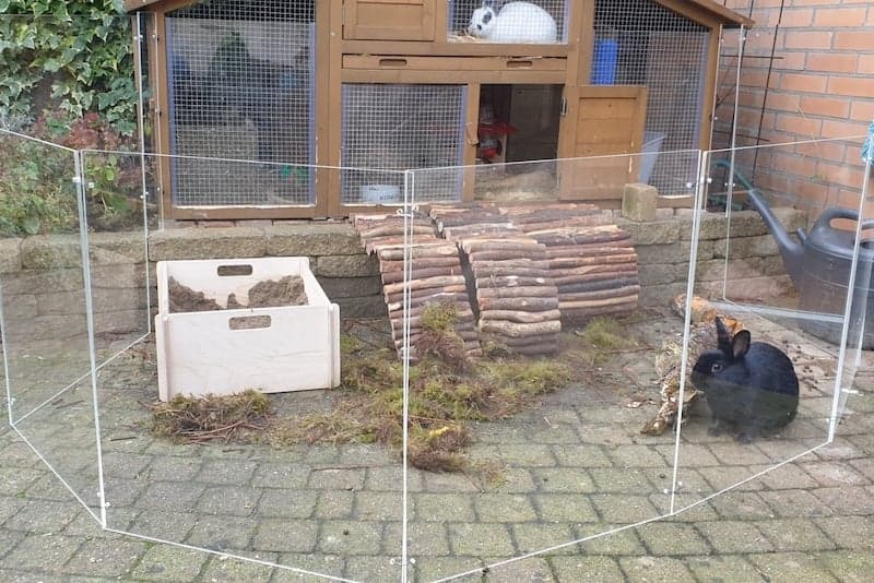 Windschutz-Kaninchenstall mit Kaninchen