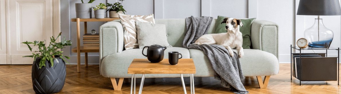 Decoration blog banner