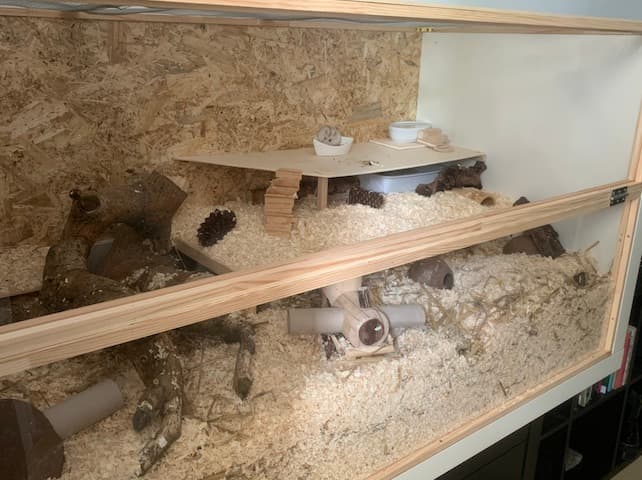Hamsterkäfig mit PLEXIGLAS®04