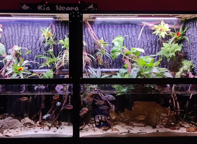 Besonderes Wasser- und Landaquarium