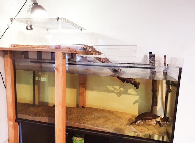 Landfläche aus PLEXIGLAS® für Wasserschildkröte