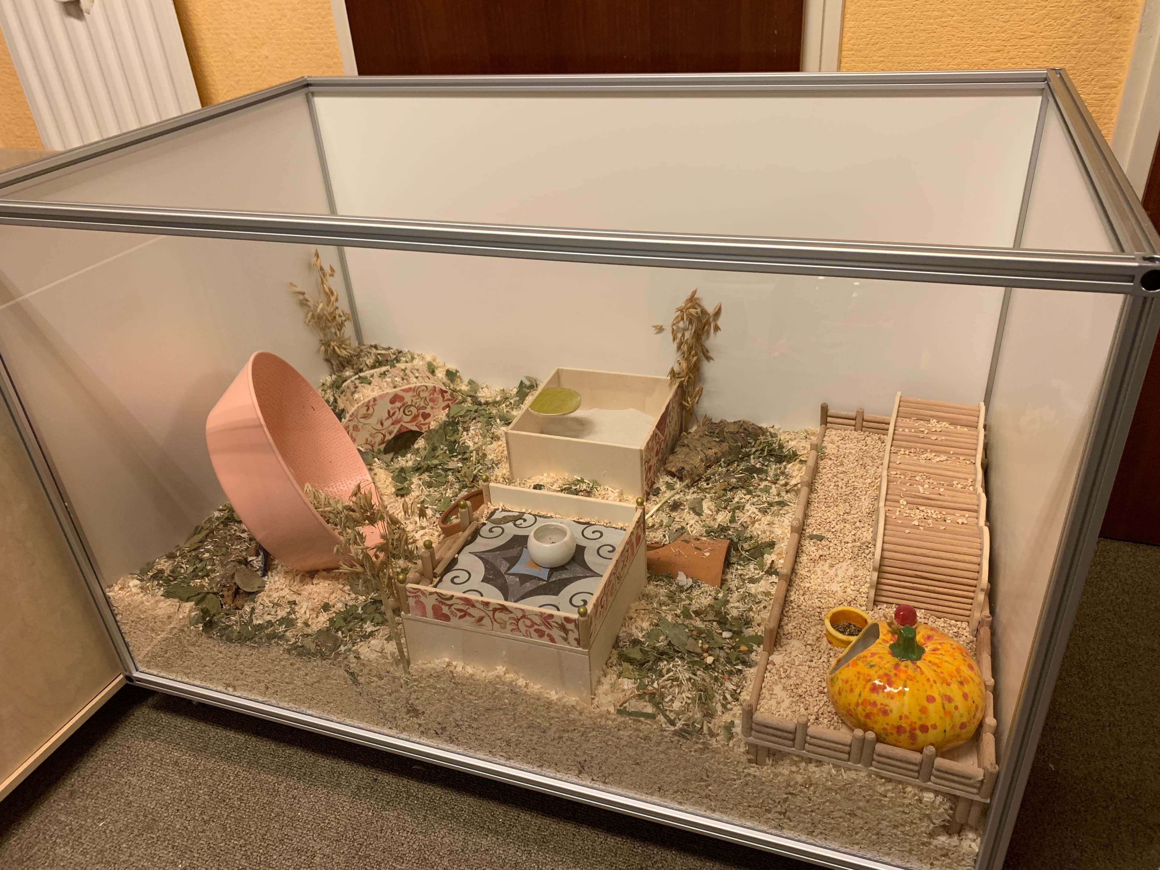 Leicht zu reinigendes Hamstergehege
