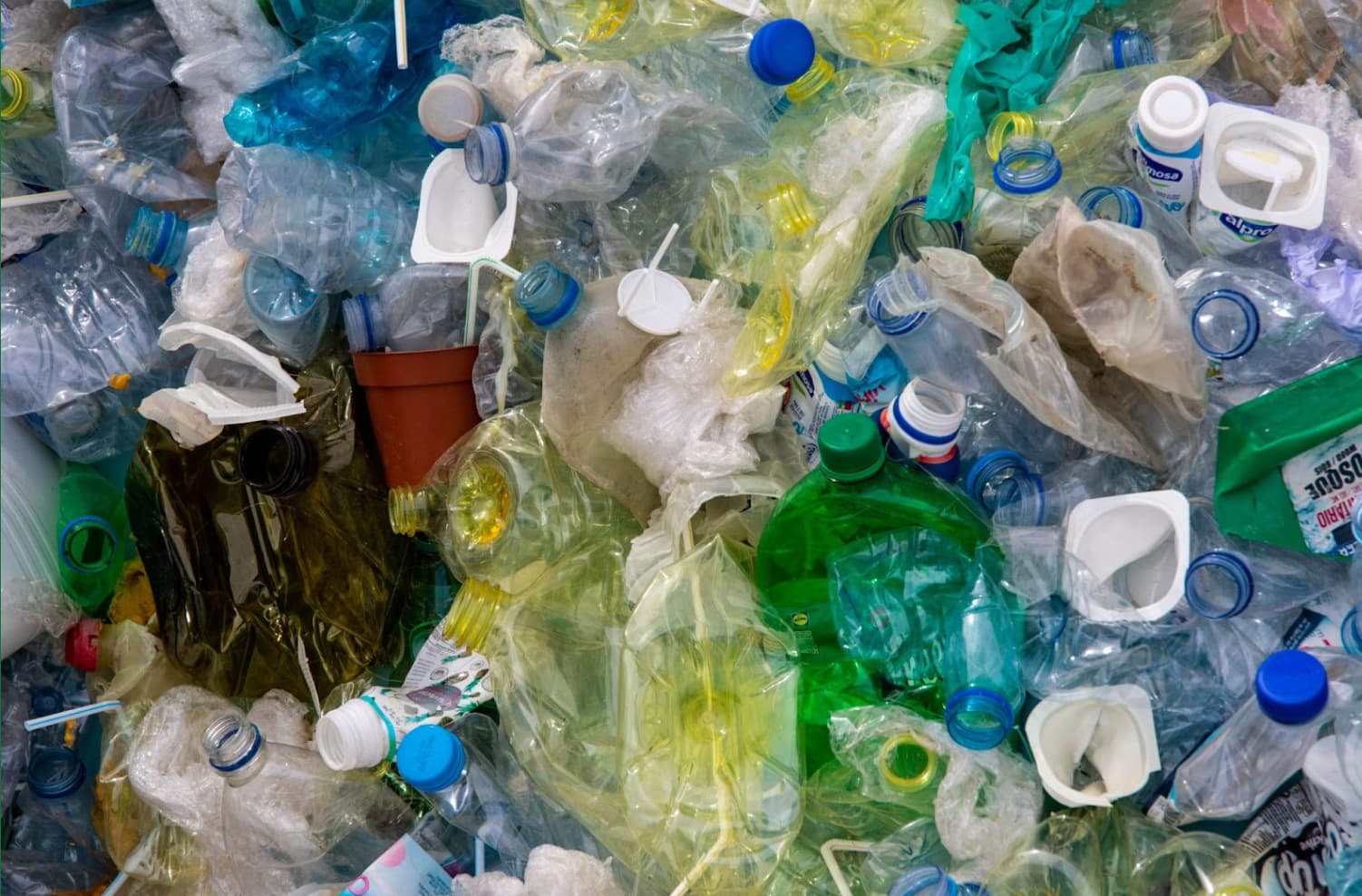 Neue Studie- So denkt Deutschland über Recycling und Mülltrennung