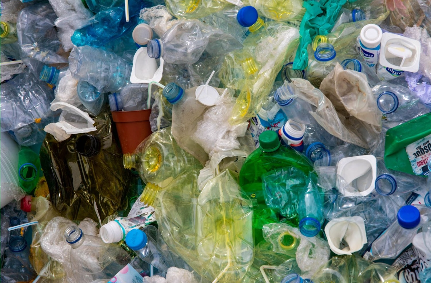 Neue Studie- So denkt Deutschland über Recycling und Mülltrennung