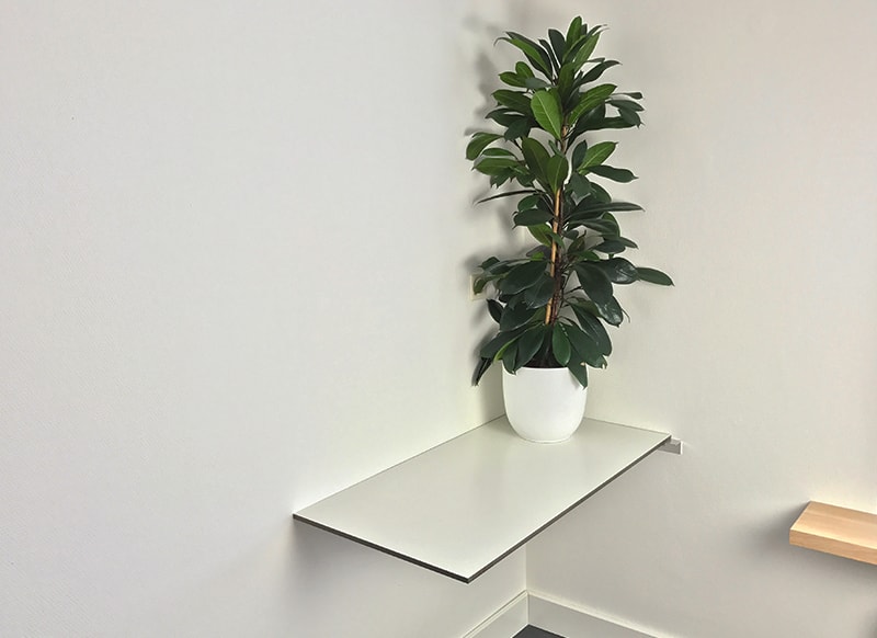 Schreibtisch selber bauen von HPL Tischplatte