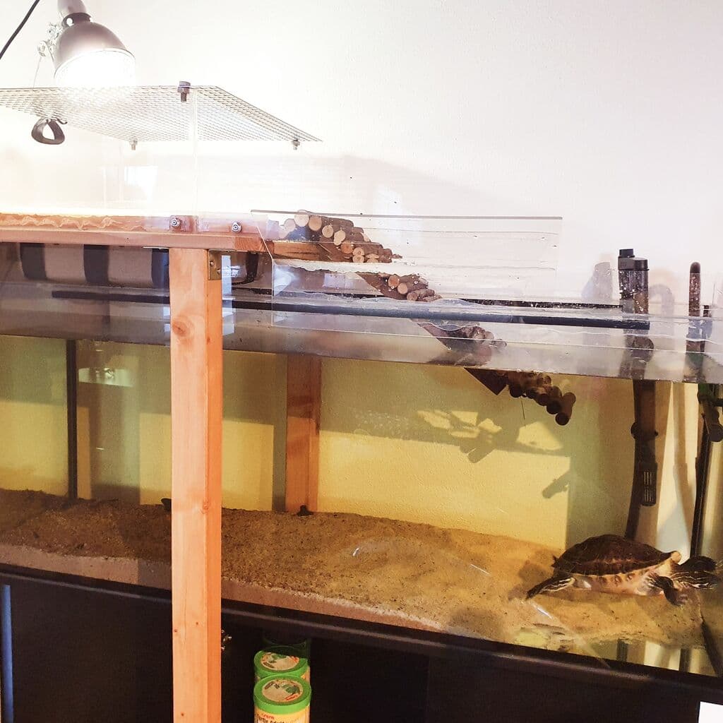 Landfläche aus PLEXIGLAS® für Wasserschildkröte
