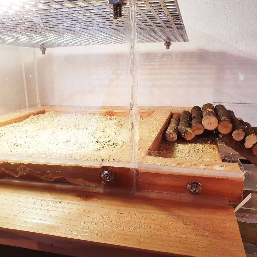 Landfläche aus PLEXIGLAS® für Wasserschildkröte