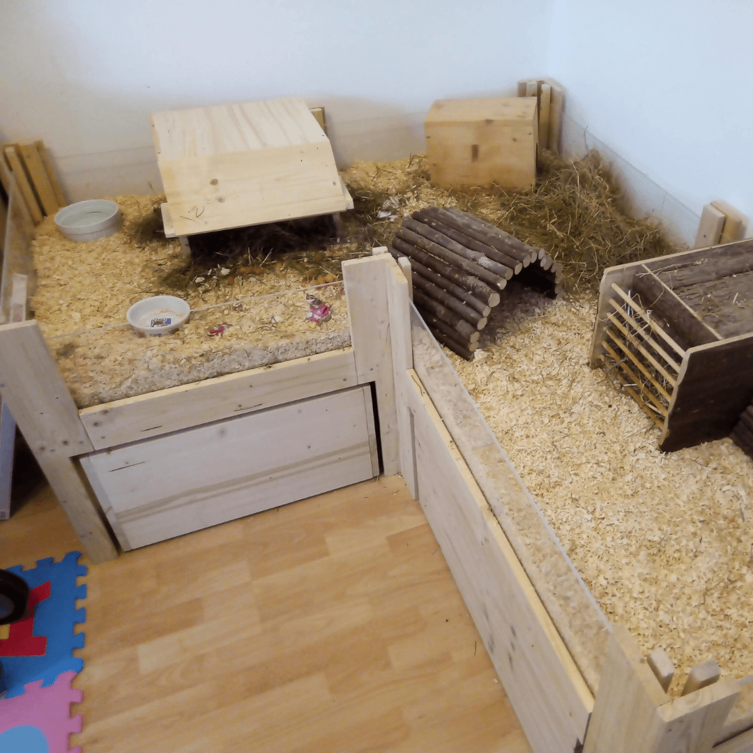 meerschweinchen gehege plexiglas