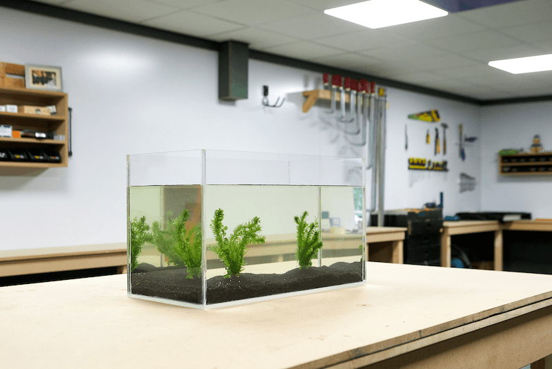 zelf-aquarium-maken-eindresultaat-sfeerfoto-1