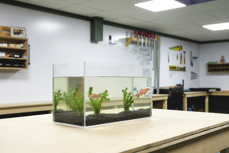 Plexiglas Aquarium selber bauen Ergebnis mit Fisch