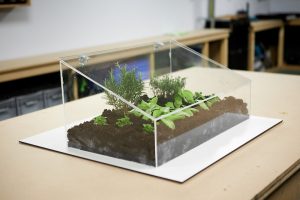 Mini Gewaechshaus DIY Endergebnis mit Pflanzen