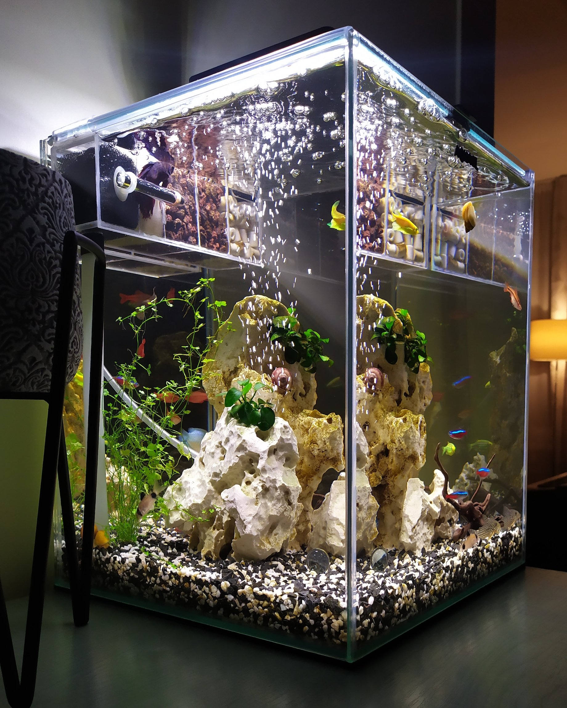 Acrylglass aquarium