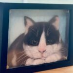 Gehe zu Bild 3