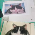 Gehe zu Bild 5